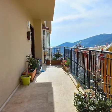 Homestay Bektashill Sitesi *