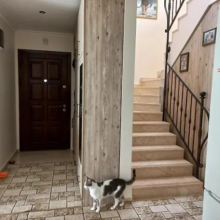 홈스테이 Bektashill Sitesi *