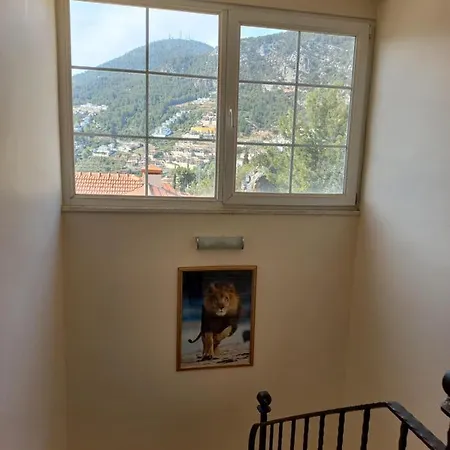 Bektashill Sitesi 홈스테이